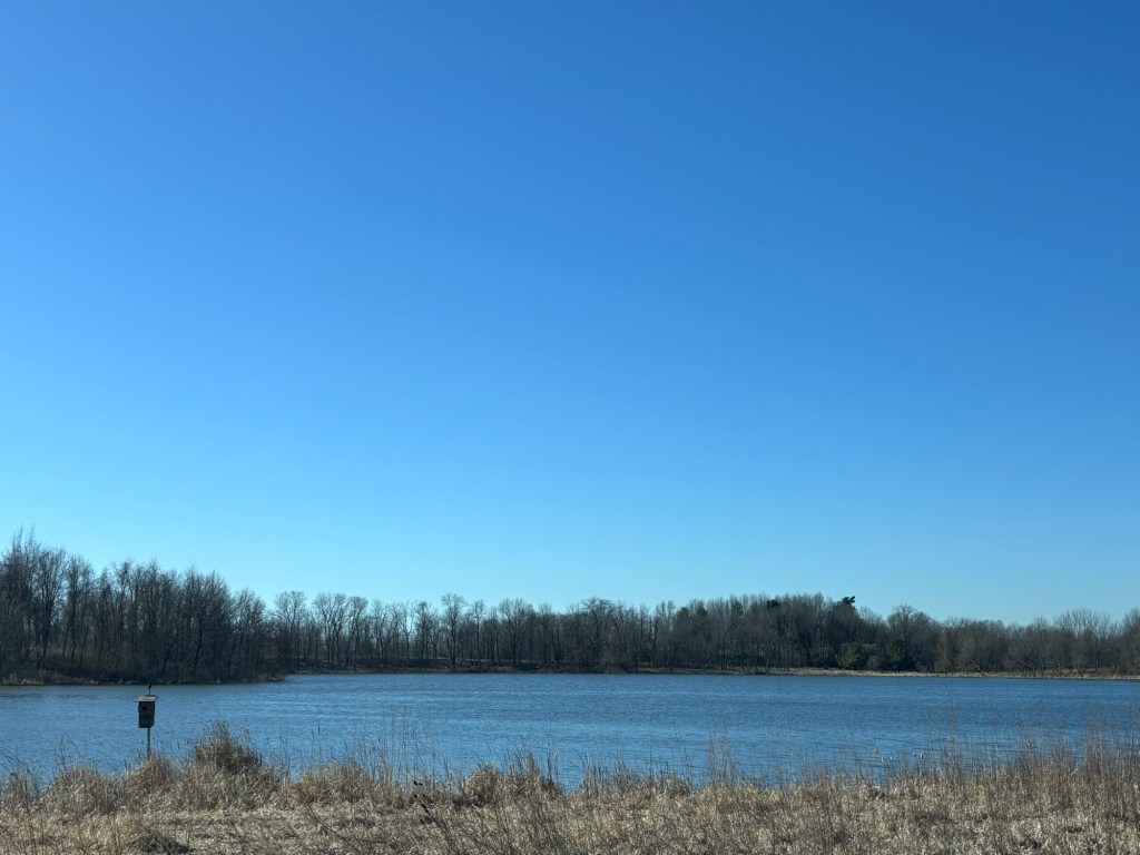 Mez, The Angel of&nbsp;God.