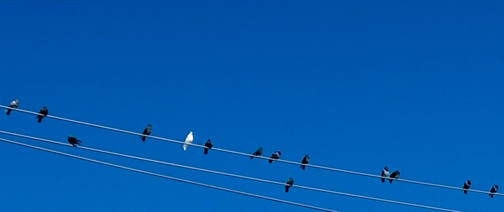 Home-going Celebration